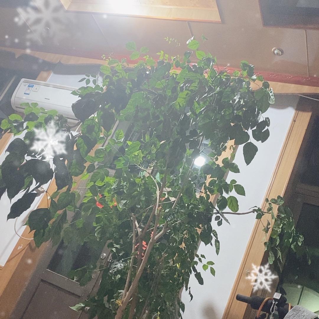 （芝美）昊能汇