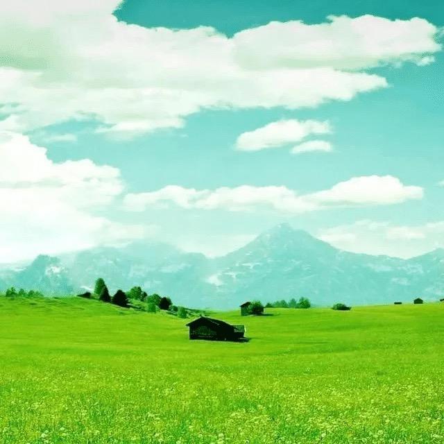 王闹闹