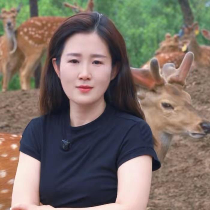 鹿乡小妹