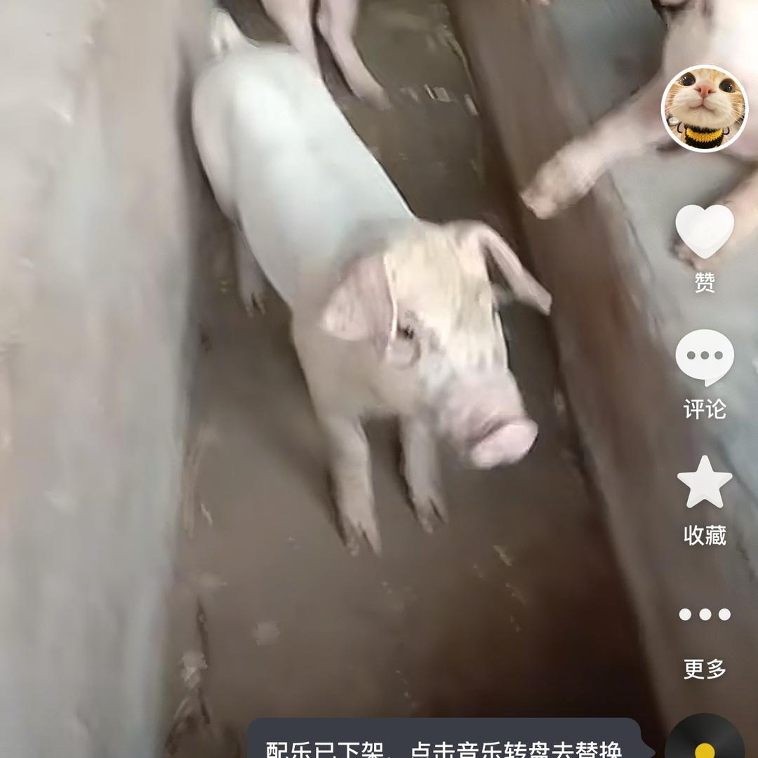 不幸福的一家人