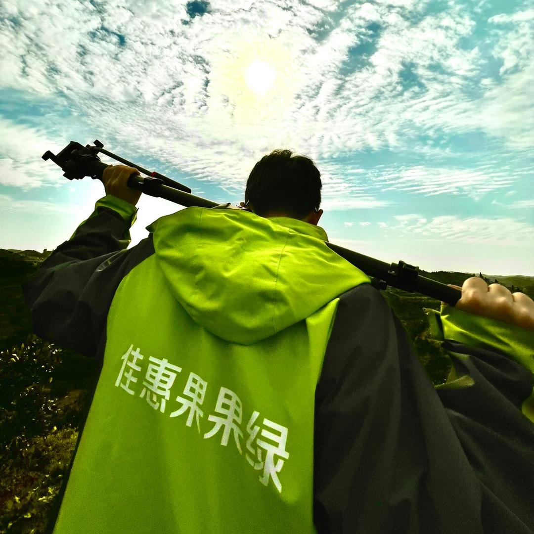 果果绿文华