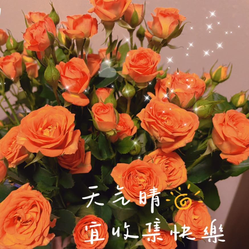 静静的静静
