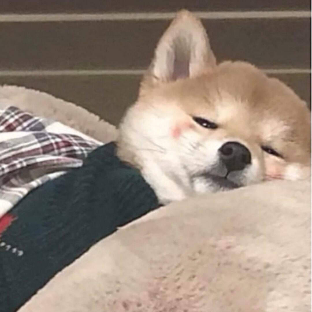小然