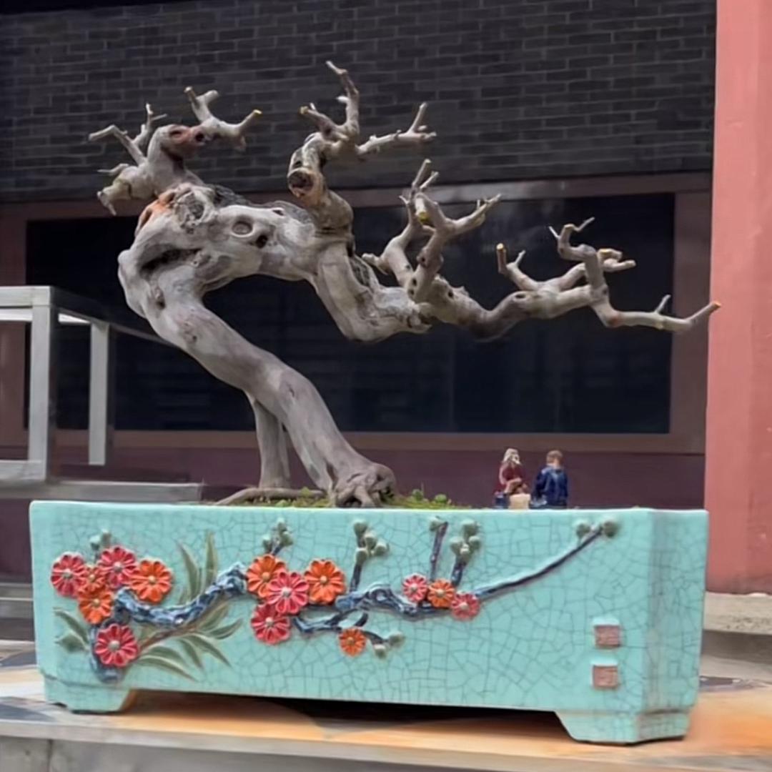 ^_^自娱自乐^_^