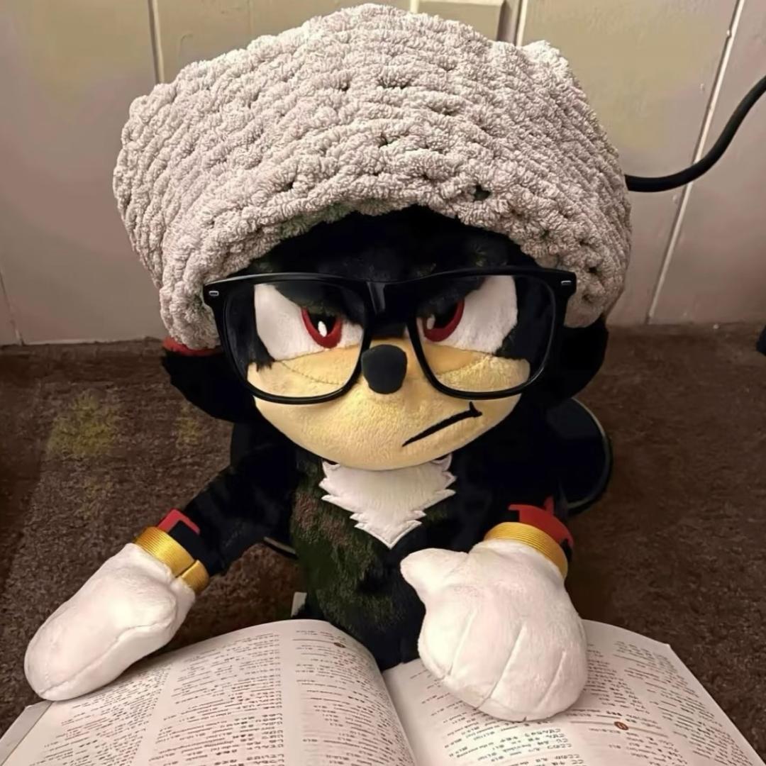 66宝宝