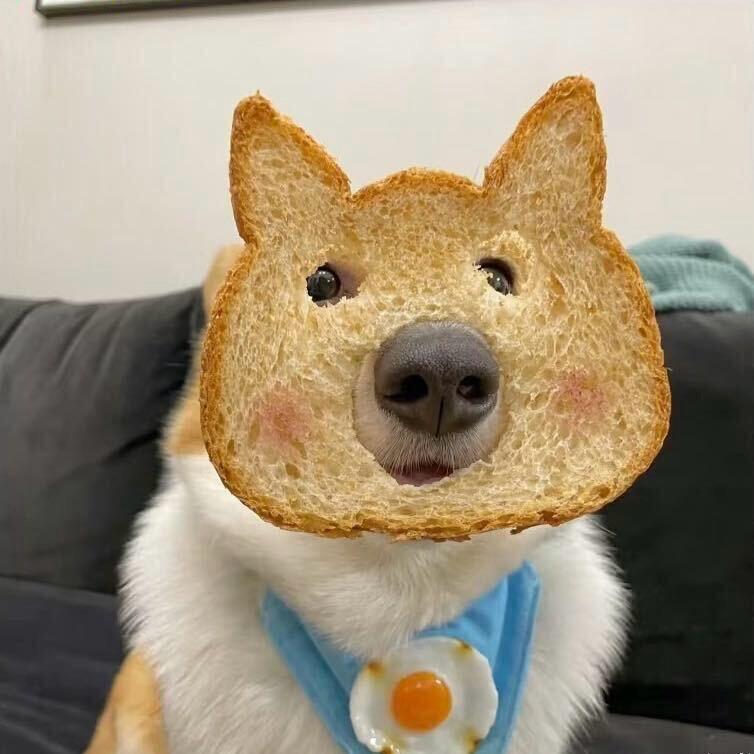 灵灵的城堡