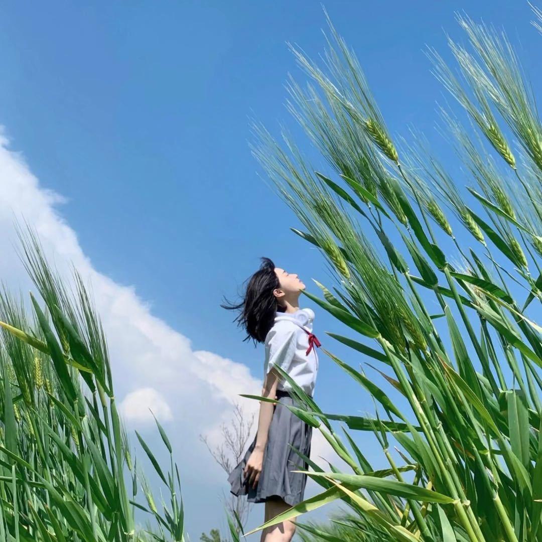 胡萝不