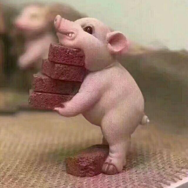 零呈峰看世界
