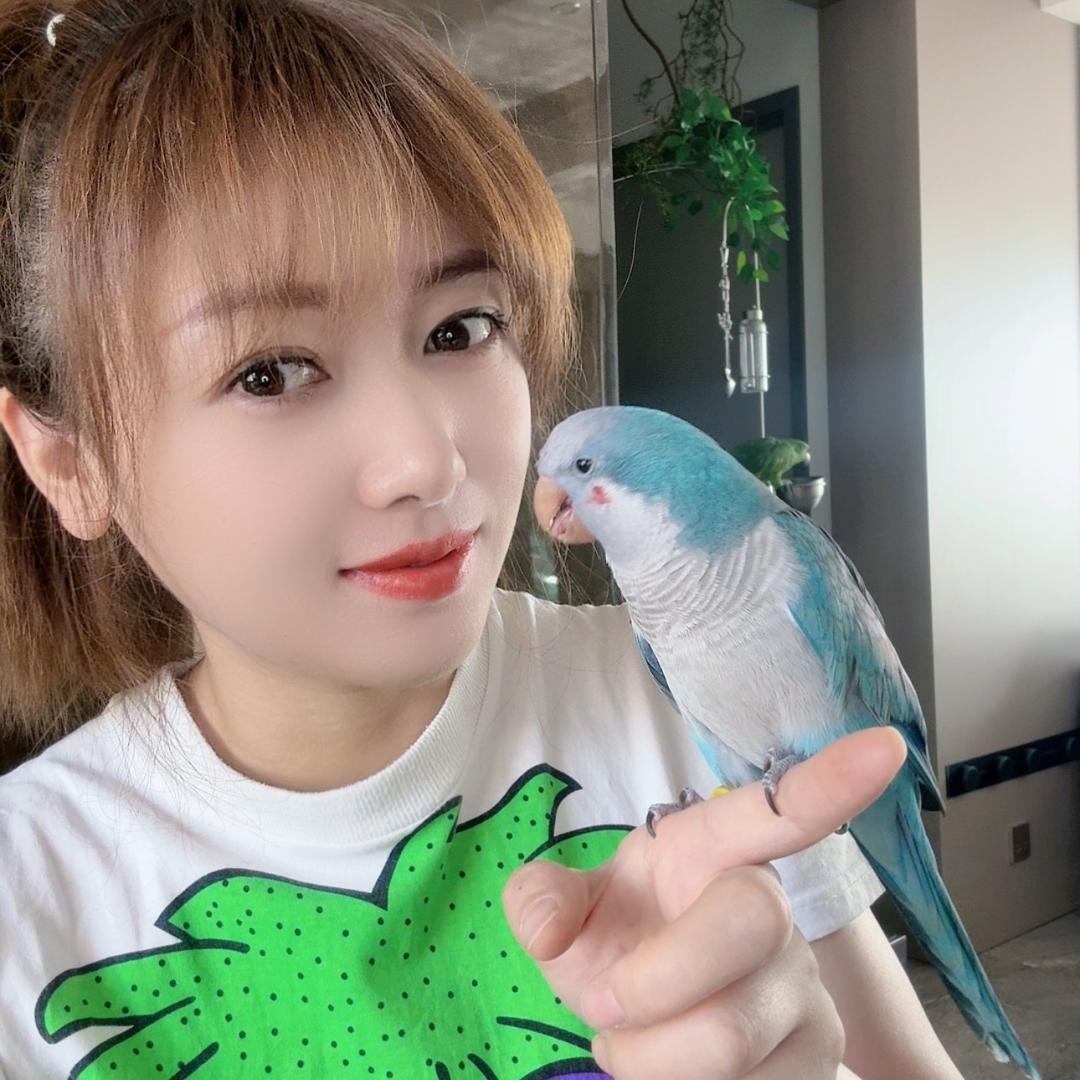 鹦鹉小丸子吖