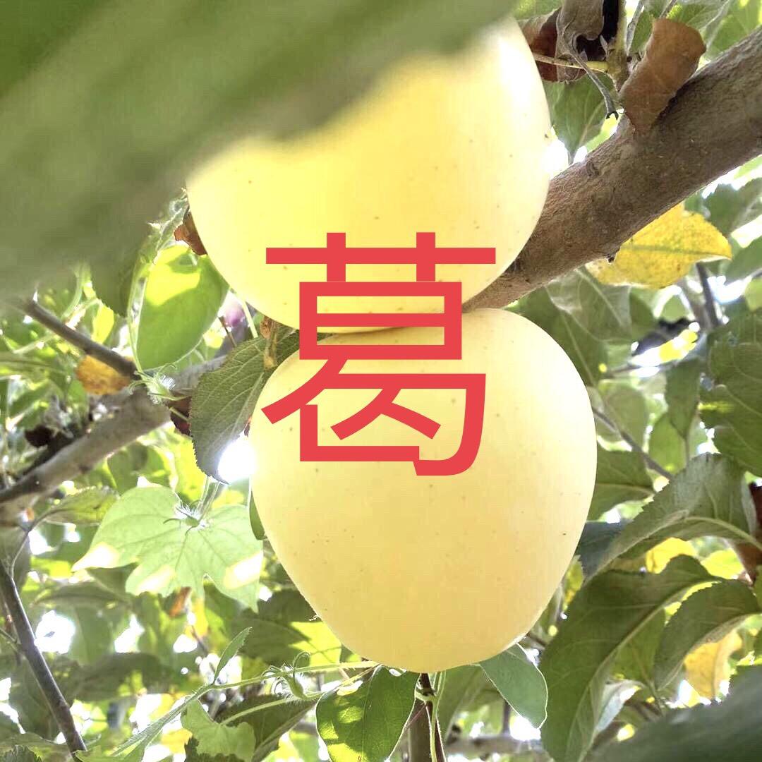 改运气农场