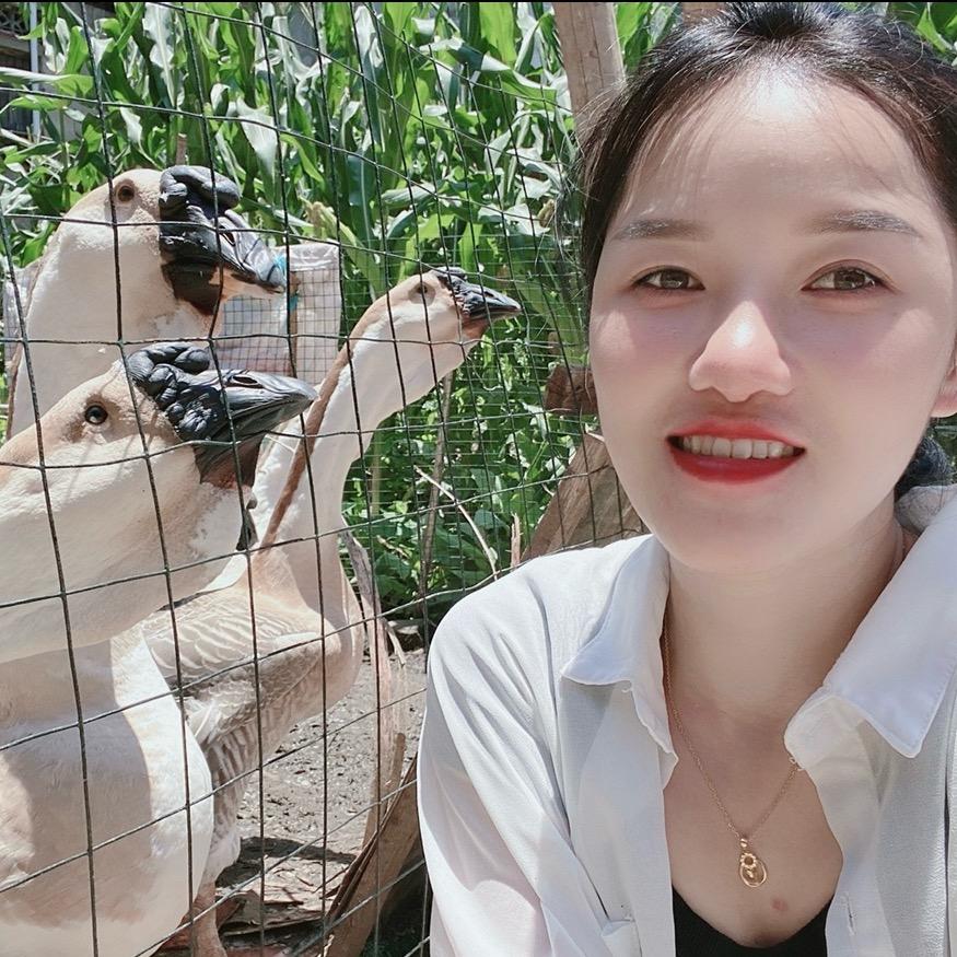 小叶子狮头鹅