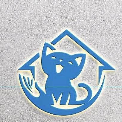 猫回家