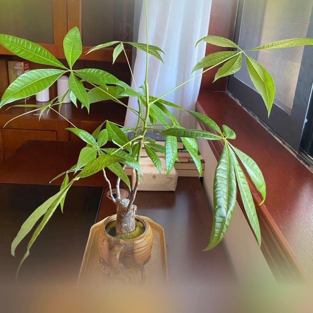 宽容才幸福