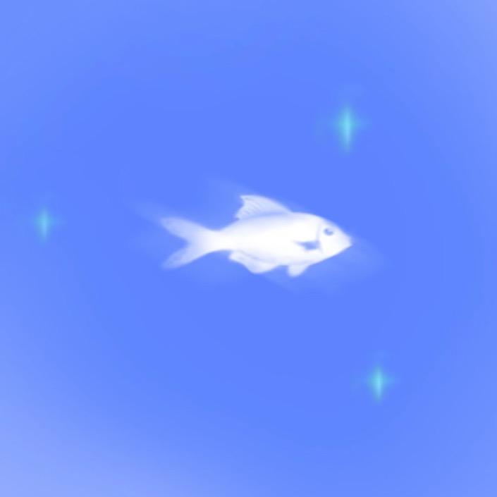 韵昭💫