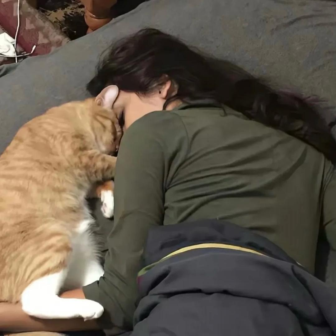 人生若只如初见