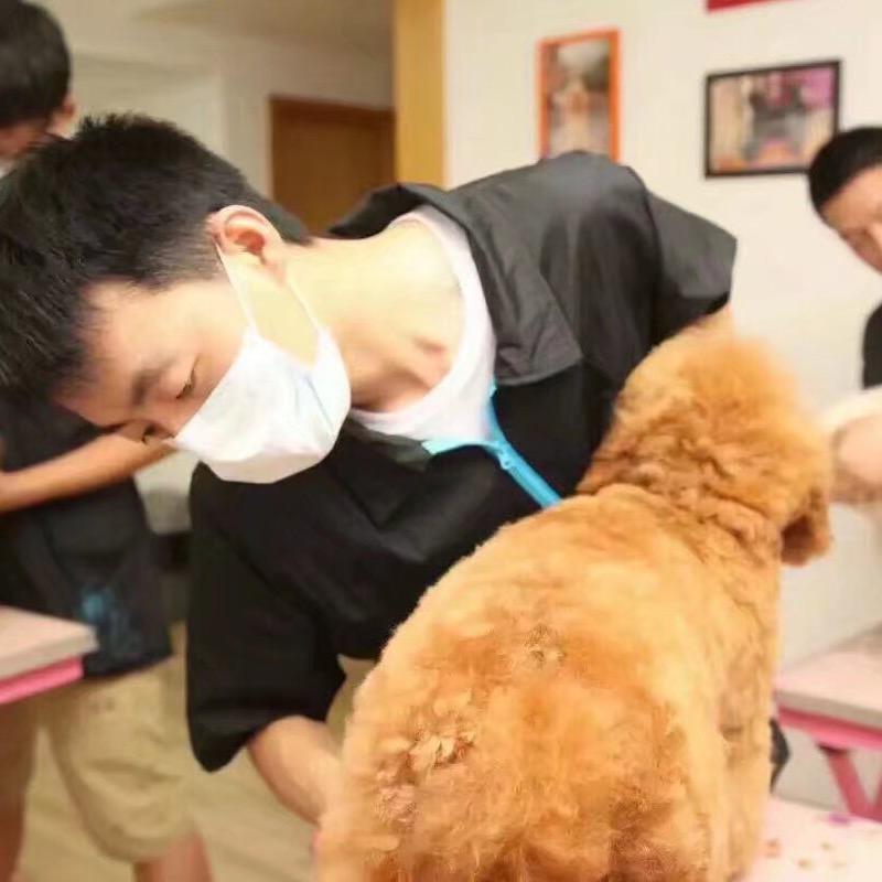 狗博士