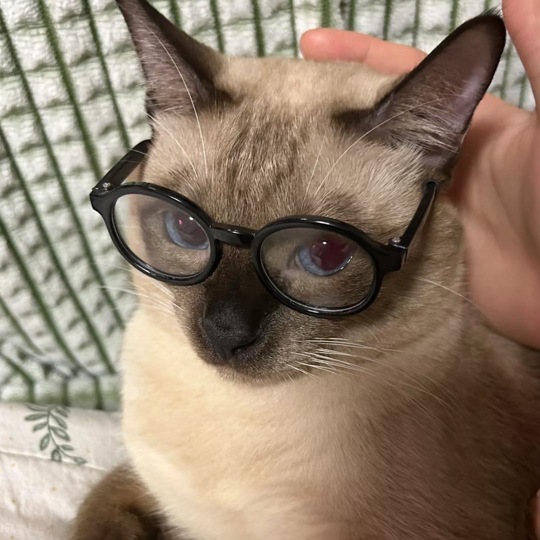 YY林