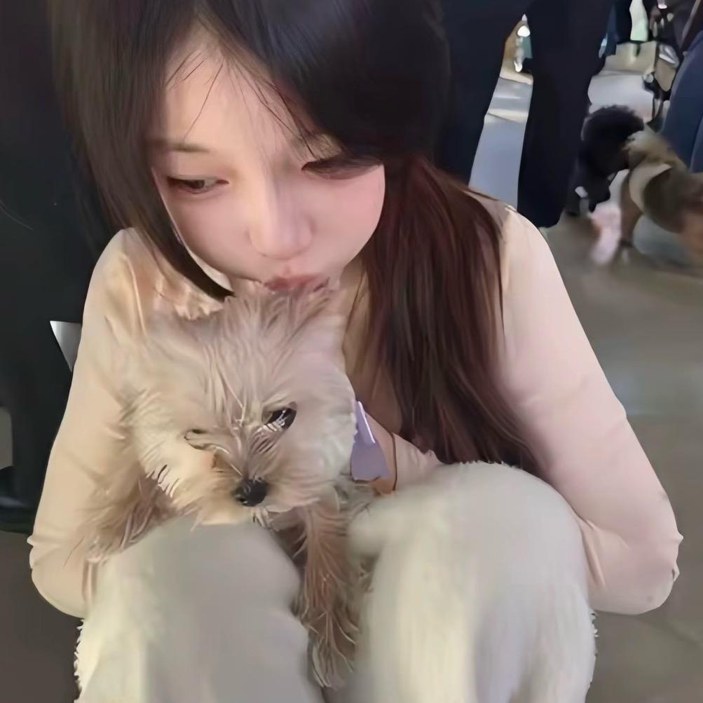 小乖🎊