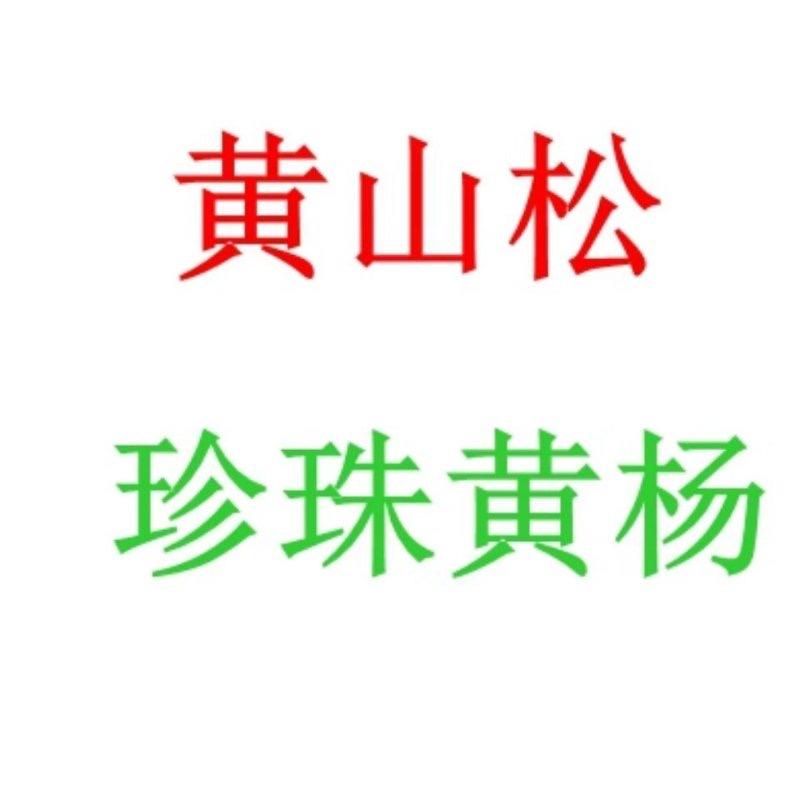 盆景姚