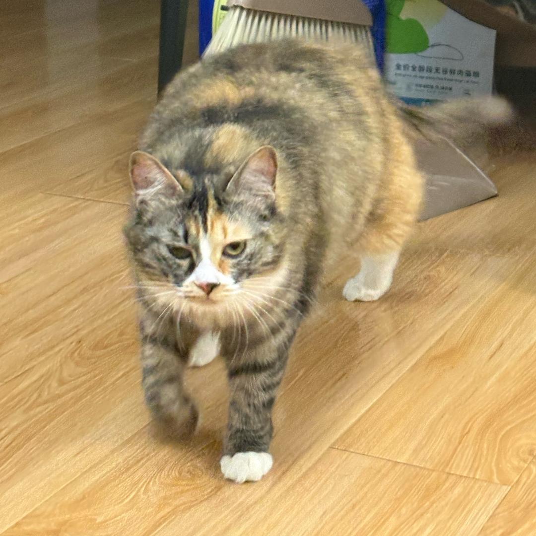 七月