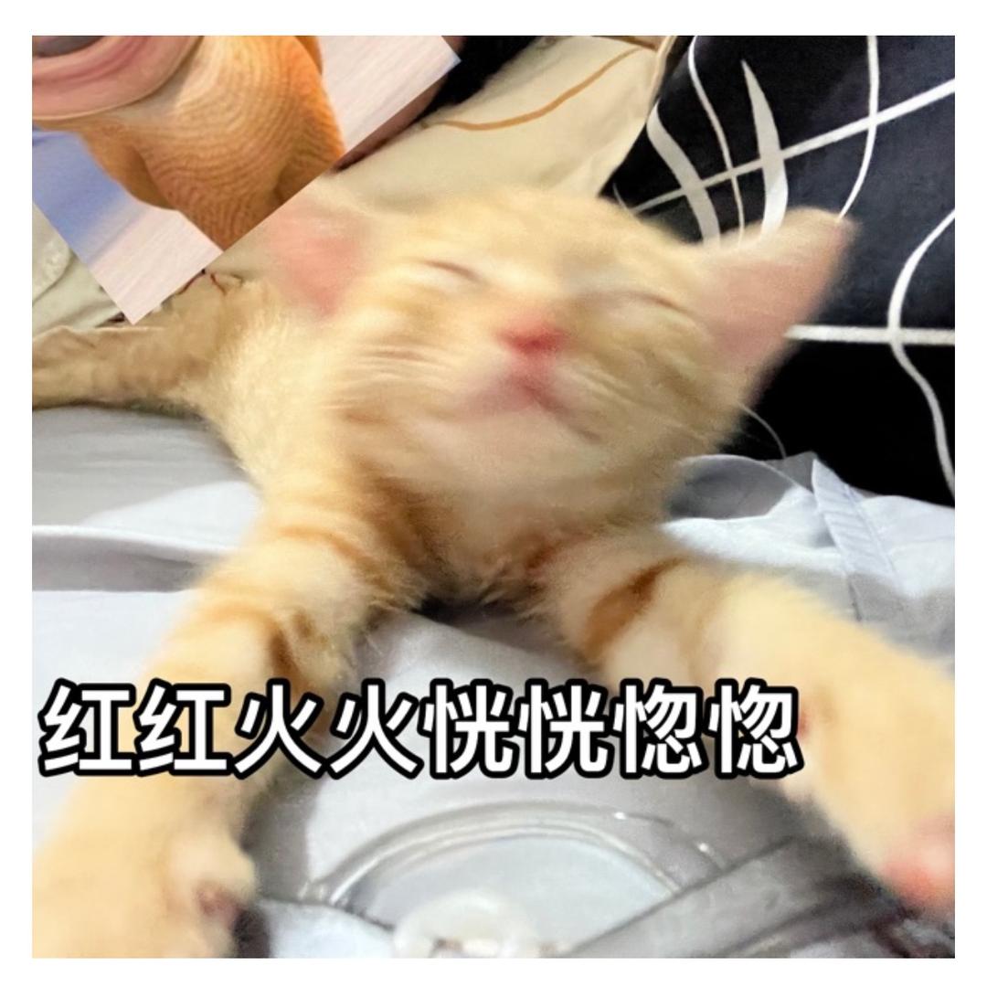 蟹老板的谢谢