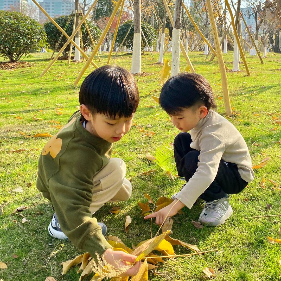 那个男孩.