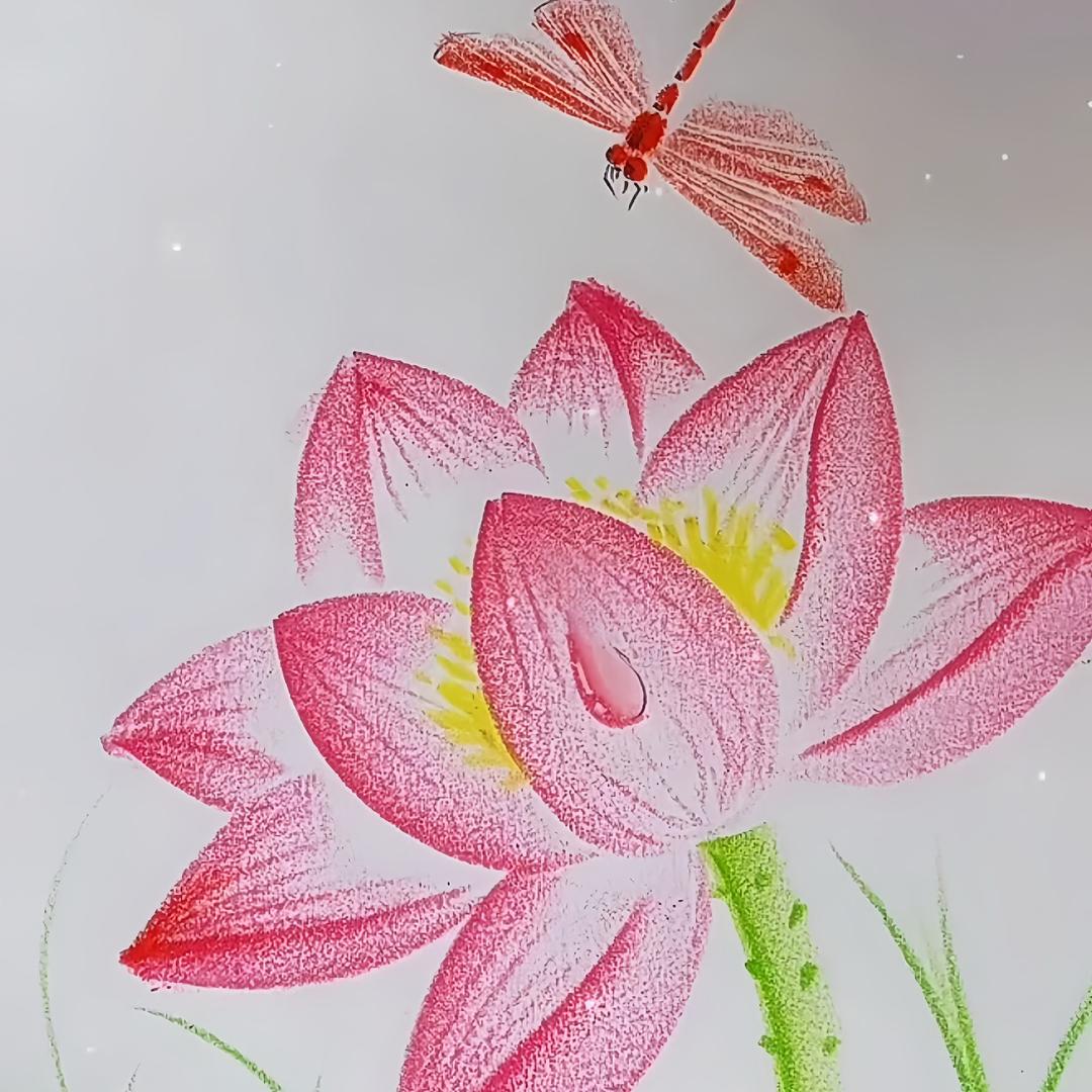 小六老师🌙