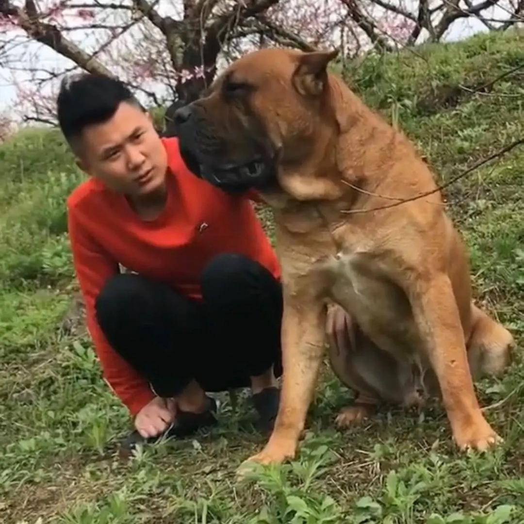心里有李