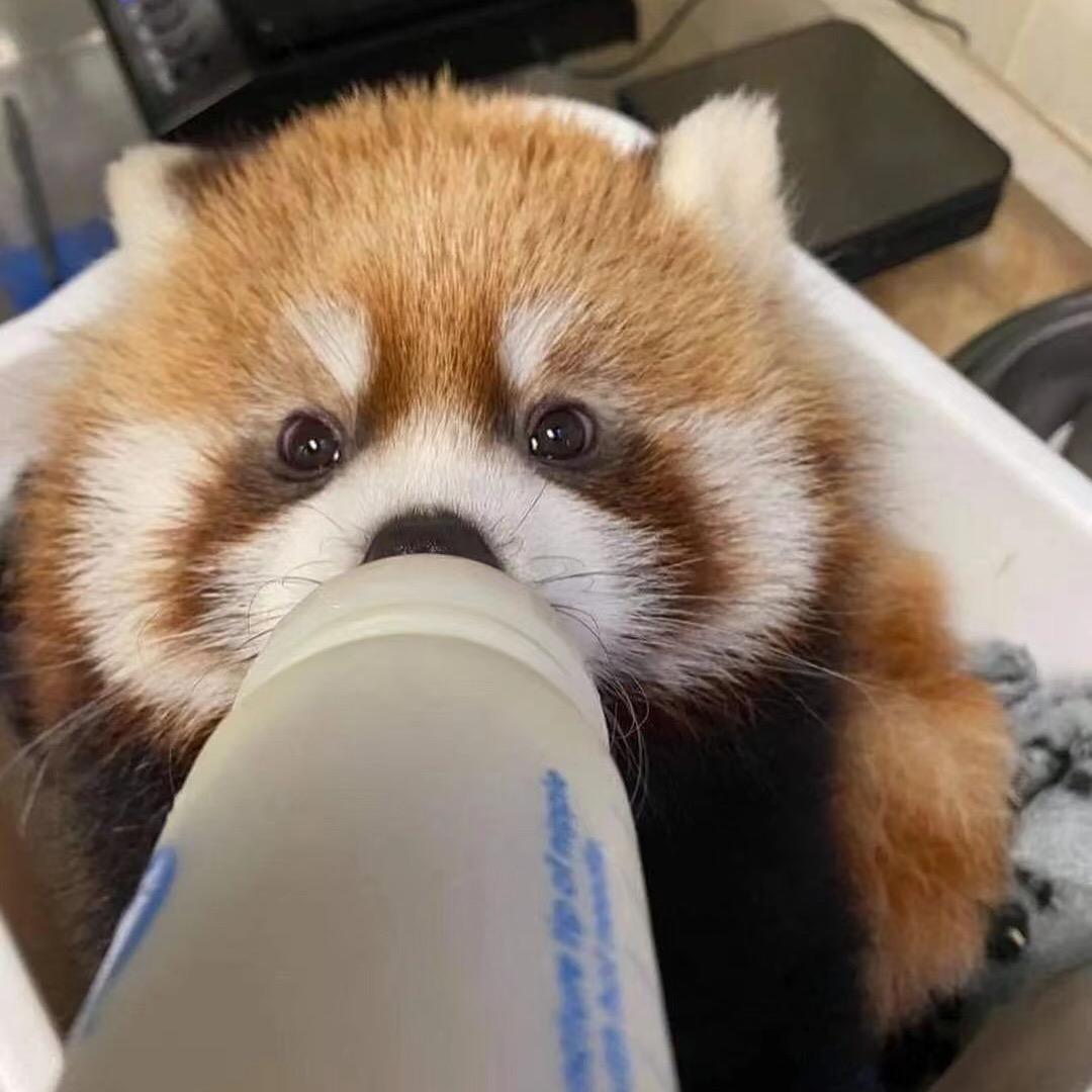 金源祥优品