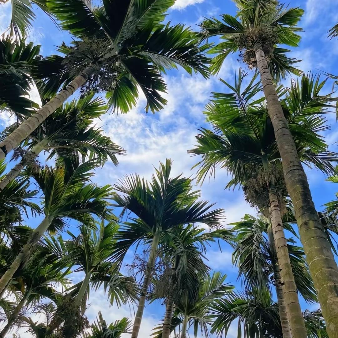 黄流冬瑞农资