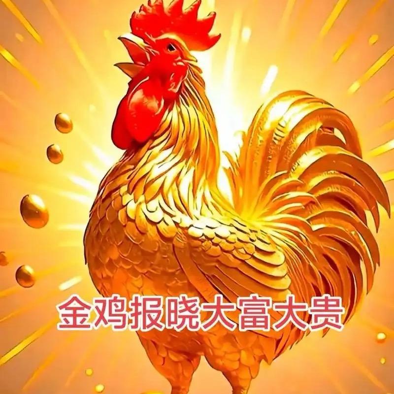 辉哥聊养鸡