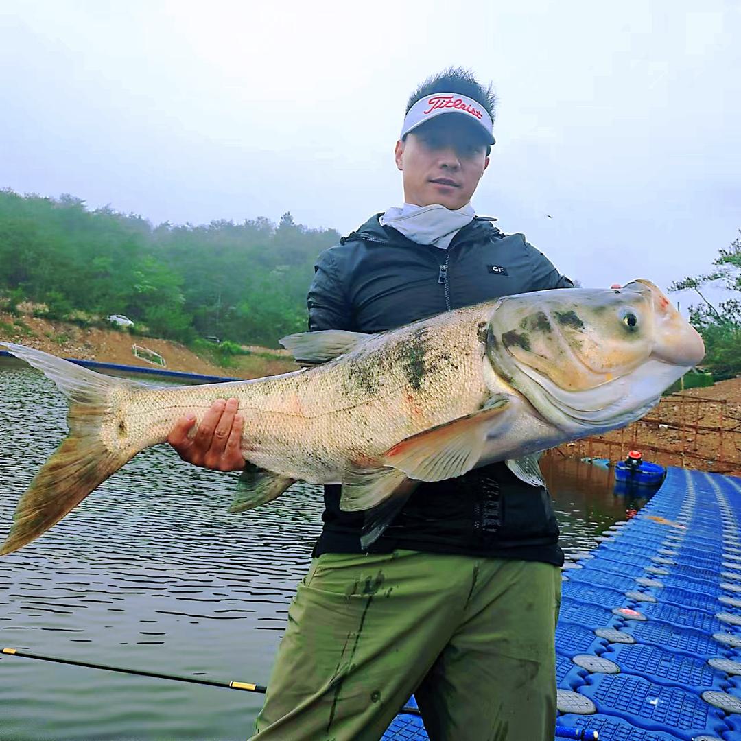 王老涛爱钓鱼🎣