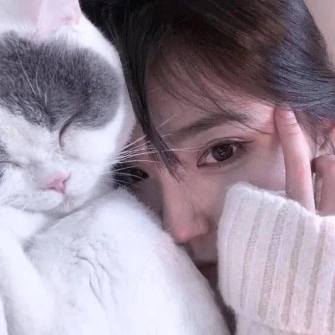 羊羊得亿🐑