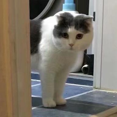富贵^_^是好喵