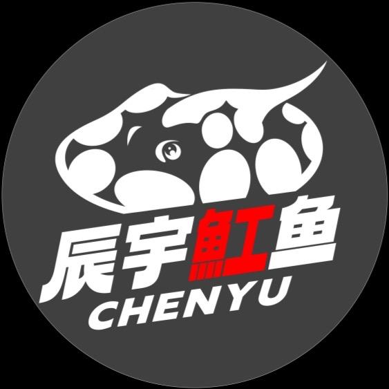 辰宇魟鱼