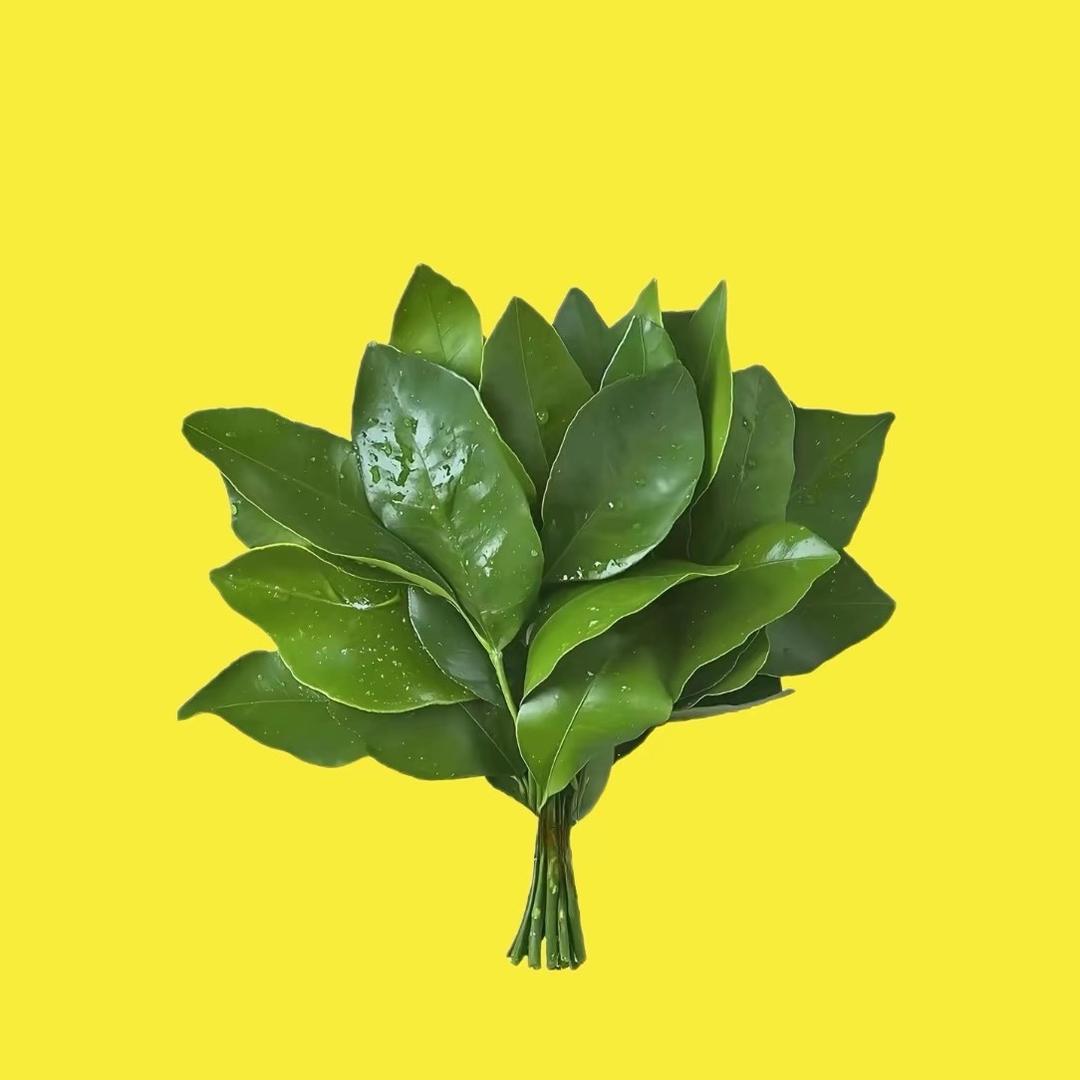 如果爱像影子