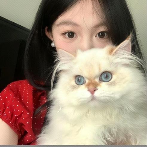 咕咕叫