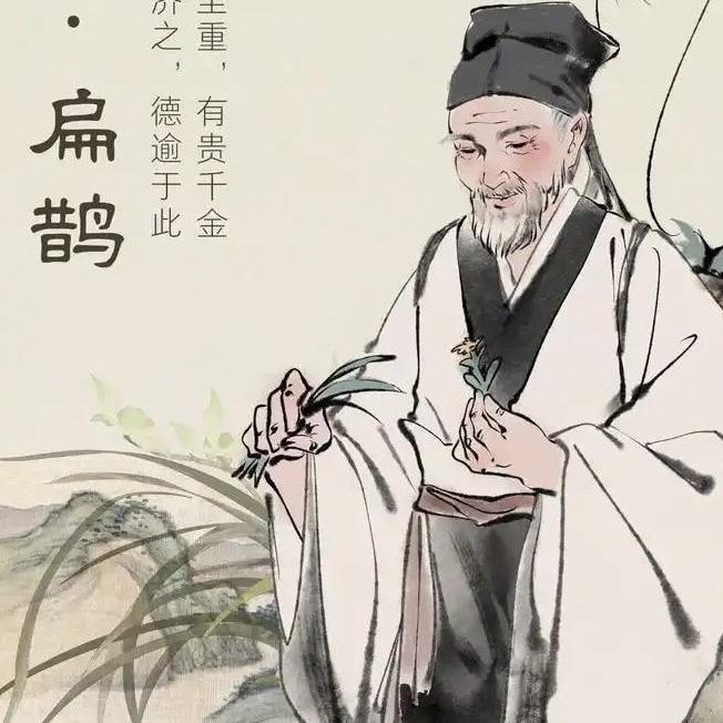 俏医扁鹊个人护理