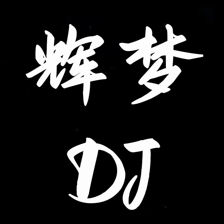 辉梦经典舞曲