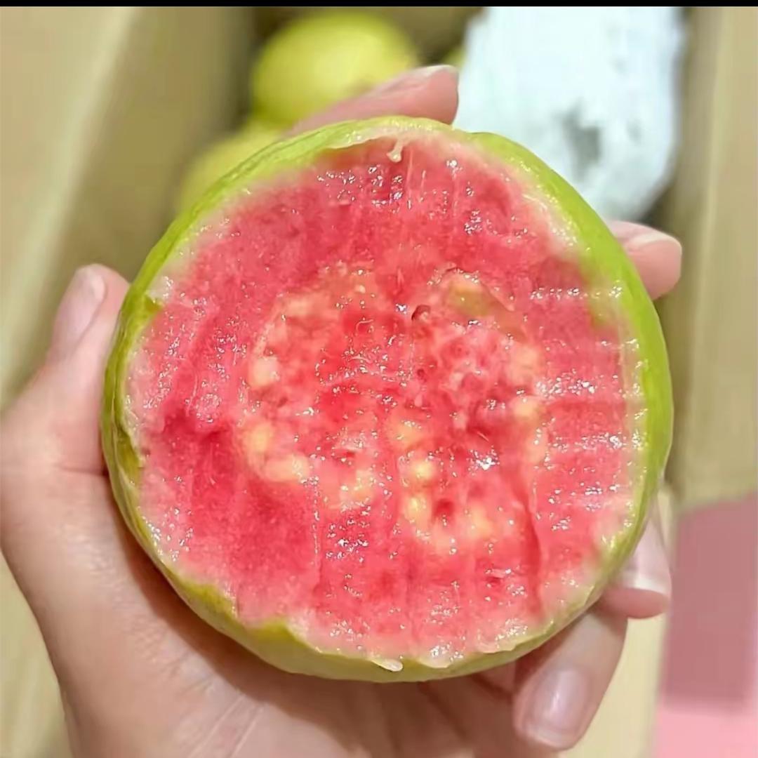 芭乐农场