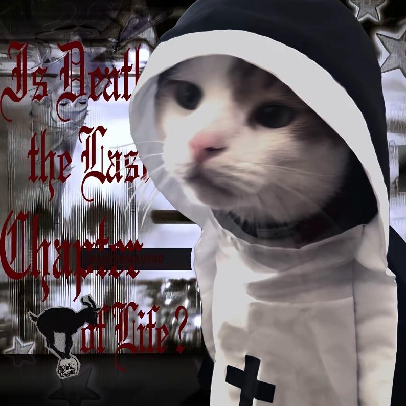 虾仁猪心🦐