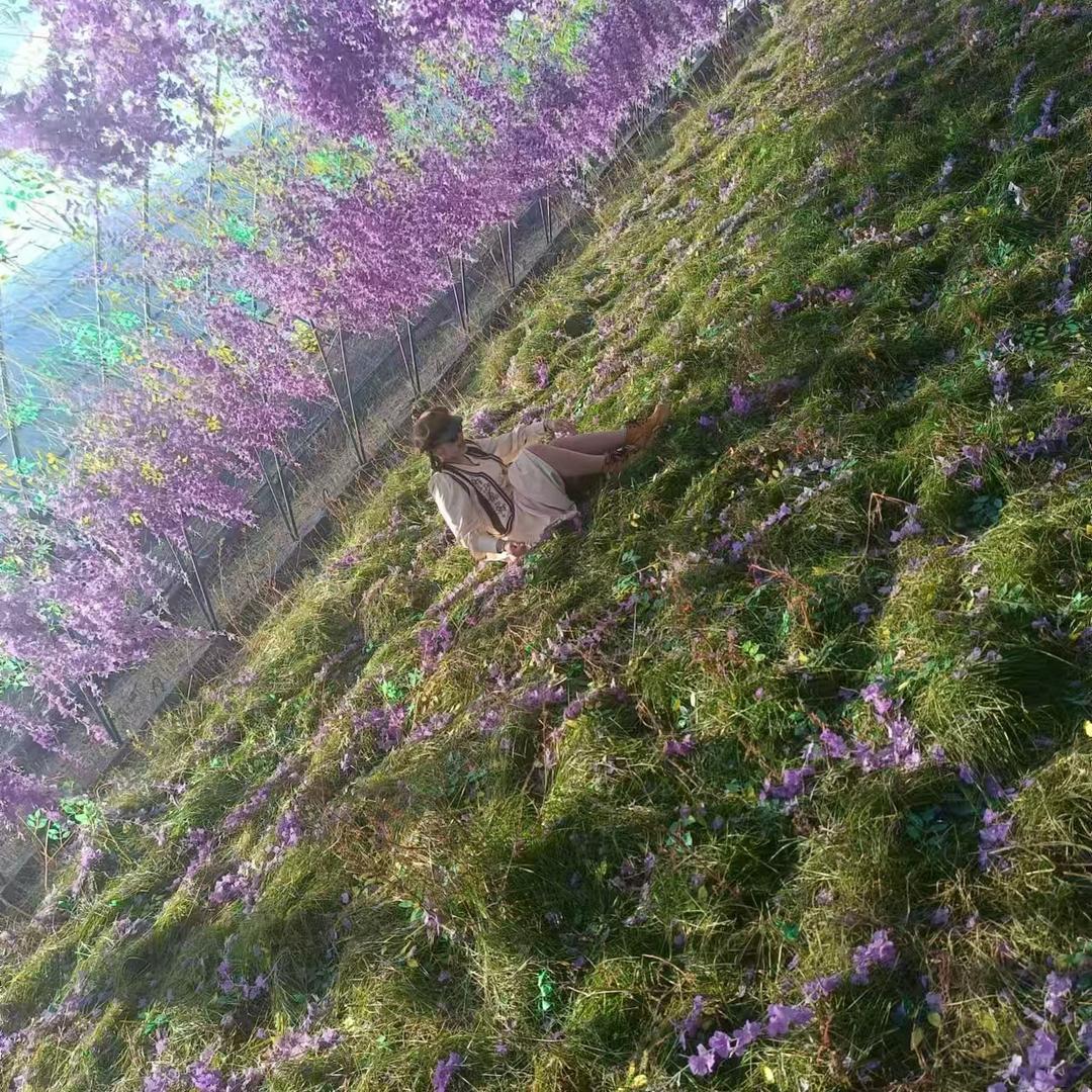 泡沫🫧