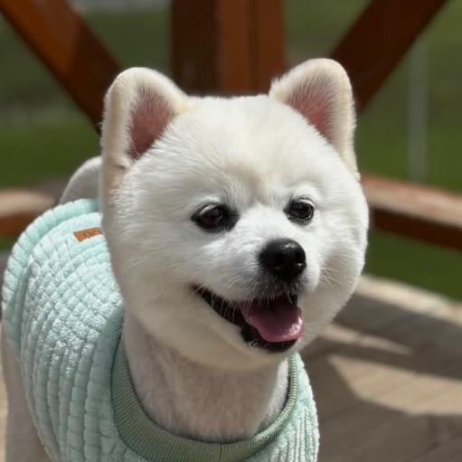 是石小石啊