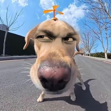 AAA二手棺材批发