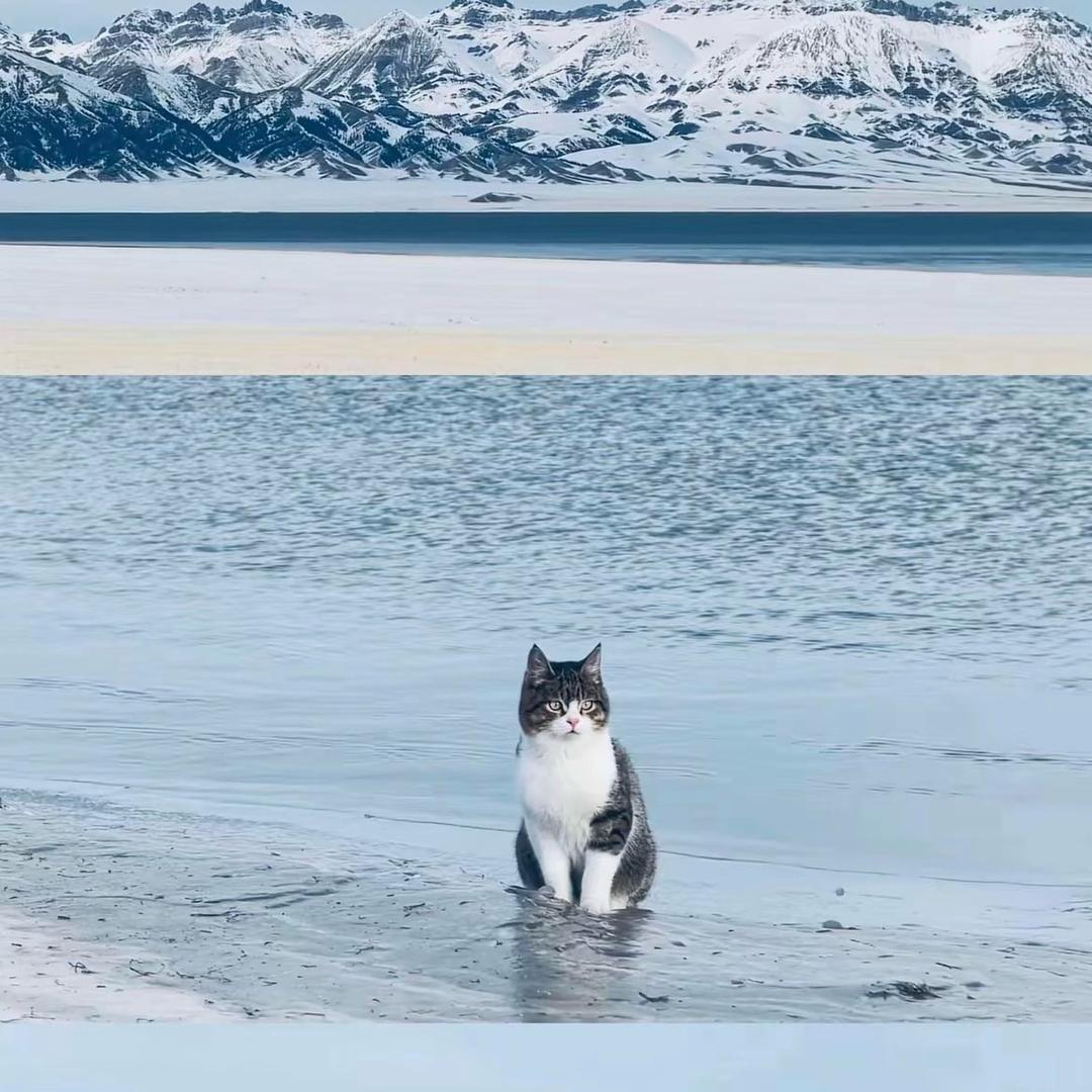 禧媛映天