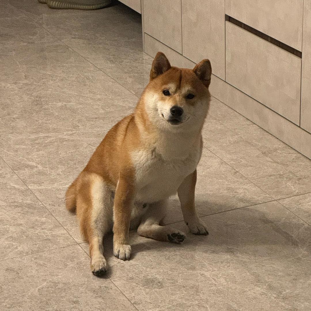 来福的朋友圈