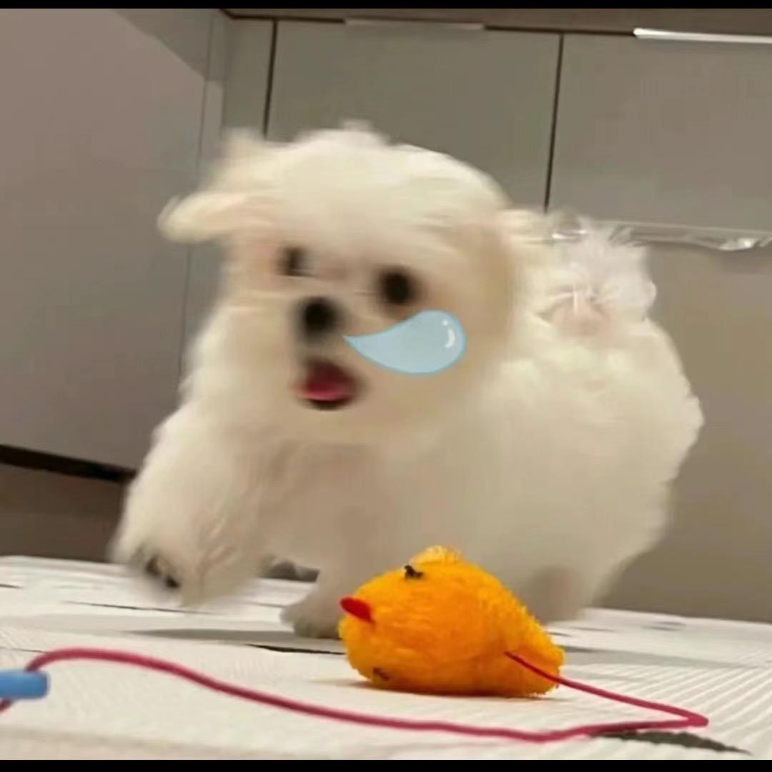 排骨面包