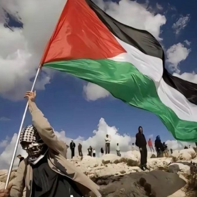 Free Palestine中东阿里