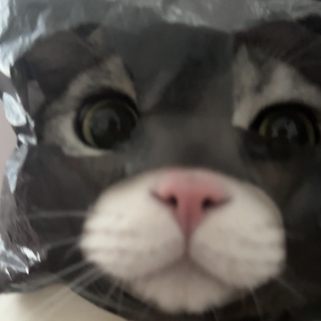 十三屁屁