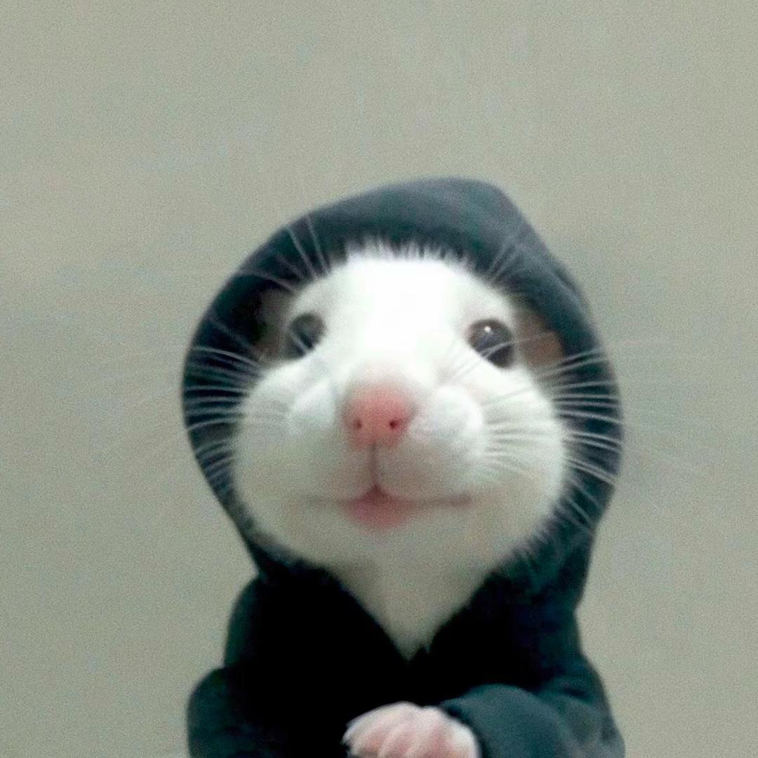 御行